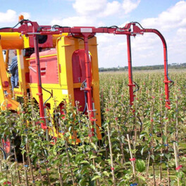 Willsi Power - Damcon - Multitrike Crop Protection