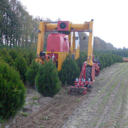 Willsi Power - Damcon - Multitrike Cultivator