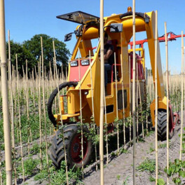 Willsi Power - Damcon - Multitrike Weed Control