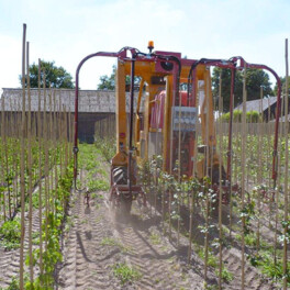 Willsi Power - Damcon - Multitrike Weed Control