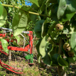 Willsi Power - Damcon - Multitrike Weed Control