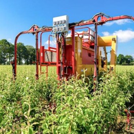 Willsi Power - Damcon - Multitrike Weed Control