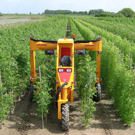Willsi Power - Damcon - Multitrike Weed Control