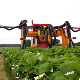 Willsi Power - Damcon - Multitrike for Strawberries