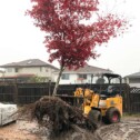 Willsi Power - Landscaping Property