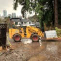 Willsi Power - Landscaping Property