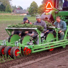 Willsi Power - Damcon - Four Row Deep Planter